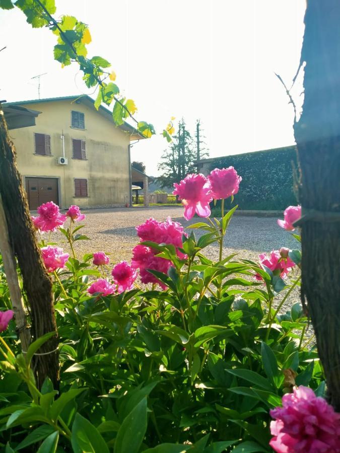 Corte Ohana Monteforte dʼAlpone 外观 照片