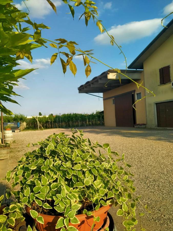 Corte Ohana Monteforte dʼAlpone 外观 照片