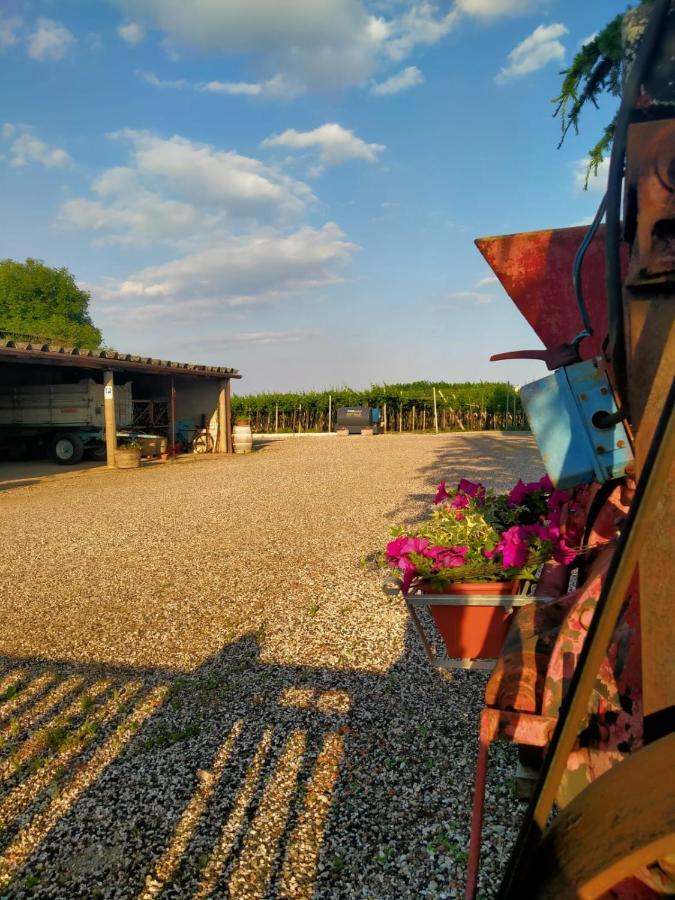Corte Ohana Monteforte dʼAlpone 外观 照片